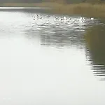 Schwandt-ein Mit Wasserblick, Ruderboot Auf Anfrage Дом отдыха Rosenow (Mecklenburg-Vorpommern)