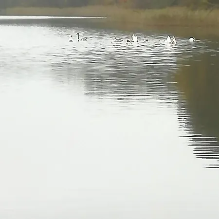 Schwandt-ein Mit Wasserblick, Ruderboot Auf Anfrage Nyaraló Rosenow