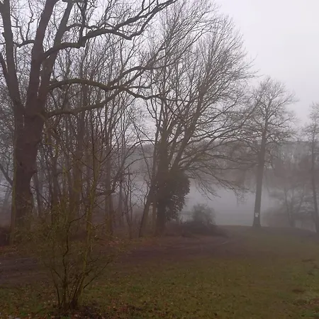 Schwandt-ein Mit Wasserblick, Ruderboot Auf Anfrage