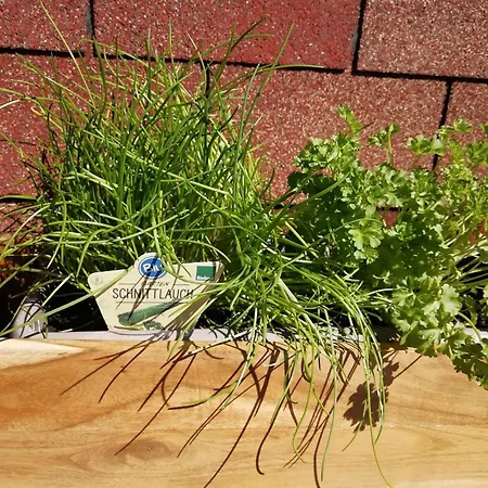 Schwandt-ein Mit Wasserblick, Ruderboot Auf Anfrage * Rosenow