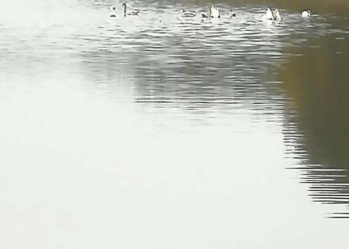 Schwandt-ein Mit Wasserblick, Ruderboot Auf Anfrage 別荘 Rosenow