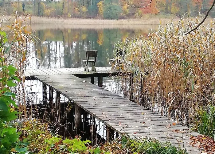 別荘 Schwandt-ein Mit Wasserblick, Ruderboot Auf Anfrage Rosenow