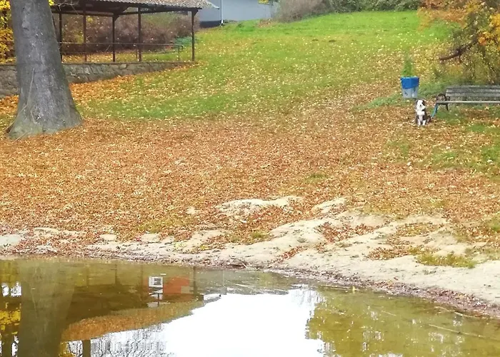 Schwandt-ein Mit Wasserblick, Ruderboot Auf Anfrage Rosenow