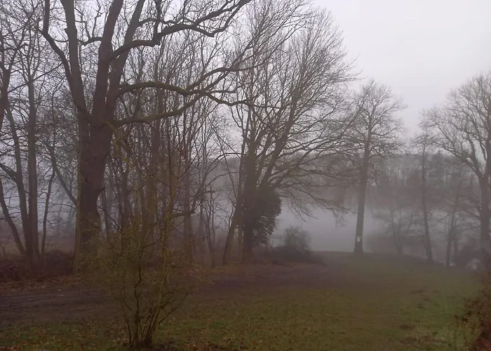 Schwandt-ein Mit Wasserblick, Ruderboot Auf Anfrage