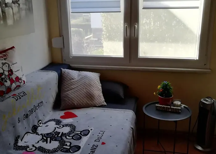 Schwandt-ein Mit Wasserblick, Ruderboot Auf Anfrage *