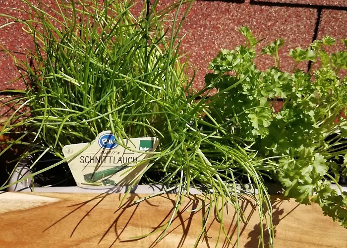 Schwandt-ein Mit Wasserblick, Ruderboot Auf Anfrage * Rosenow