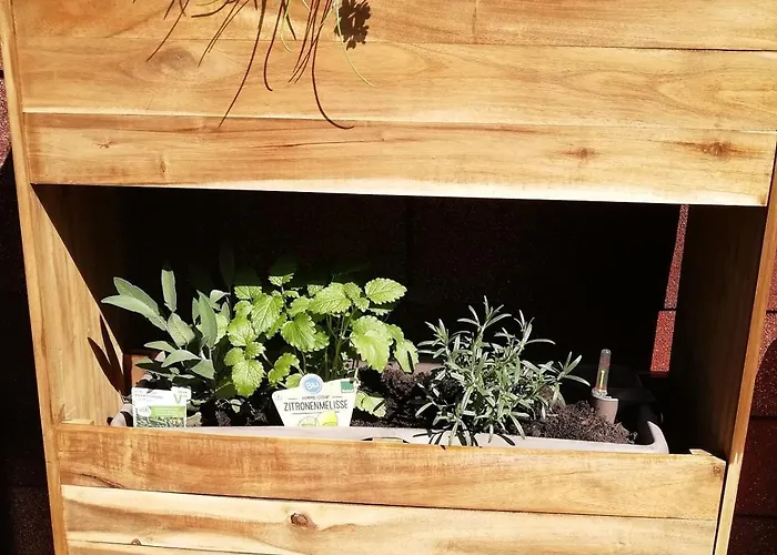 Schwandt-ein Mit Wasserblick, Ruderboot Auf Anfrage